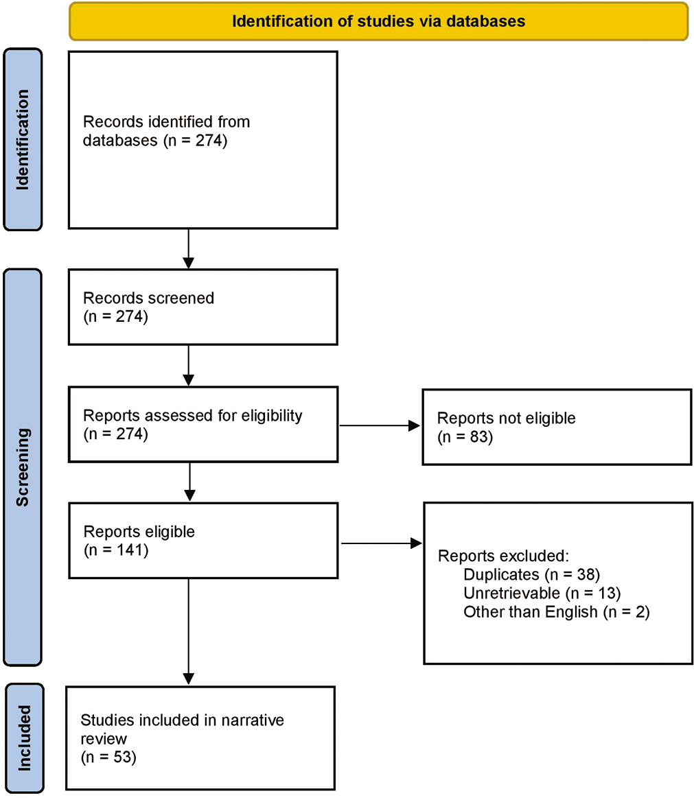 A flowdiagram depicting the selection of studies for the narrative review.